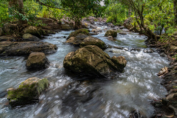 stream in the forest