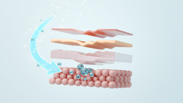 Hyaluronic acid injection arrow pointing to hypodermis for skin volume loss 3d illustration
