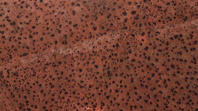 Aerial of South Australian outback showing red soil textures and sparse vegetation, top down ascend textured backdrop