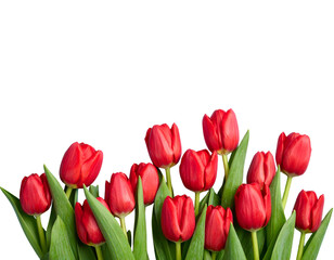 Fototapeta premium - Mother’s Day Greeting Card with Red Tulip Bouquet on Blue Background, Top View, Classic Floral Style 