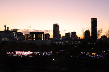 Fototapeta premium Osaka City at Sunset, with skyscraper