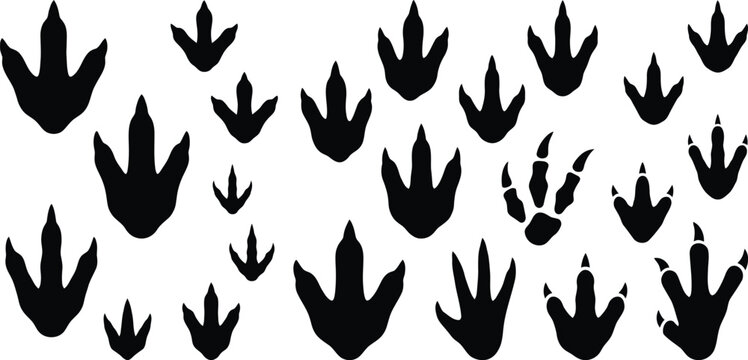 Dinosaur Foot Silhouette Vector Set