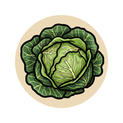 Obraz premium cabbage green vegetable illustration isolated. Used for healthy food, nutrition, cooking and agriculture themes
