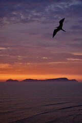 Naklejka premium The Perfect Lima Sunset Nothing compares to the raw beauty of the Costa Verde at dusk. Watching the sun dip below the horizon from the edge of Miraflores. View of San Lorenzo Island