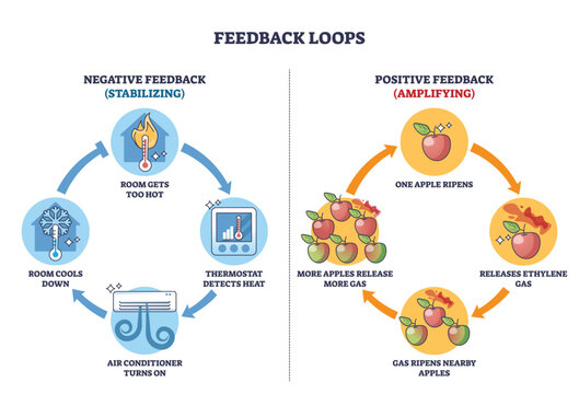 Feedback loops show stabilizing vs amplifying cycles, thermostat and AC cool a hot room while ripening apples spread ethylene to accelerate change, key objects, thermostat, AC, apples. Outline diagram
