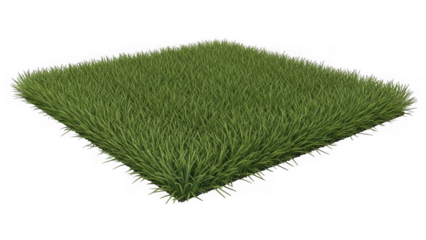 patch of green grass on white background