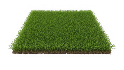 patch of green grass with brown soil isolated on white background