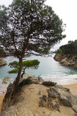 The view of Cala Pola beach in Tossa De Mar, Costa Brava, Spain                  