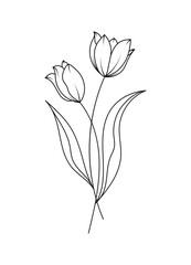 Tulip Spring Flower Vector Illustration