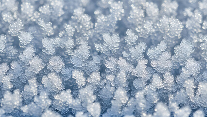 Obraz premium Falling snowflakes in winter