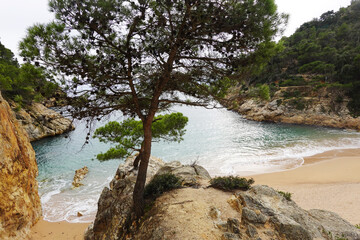 The view of Cala Pola beach in Tossa De Mar, Costa Brava, Spain                  
