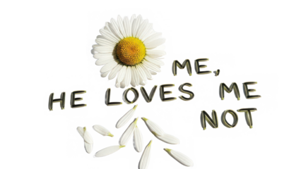 A symbolic daisy petal game asking the timeless question of love and uncertainty isolated on transparent background