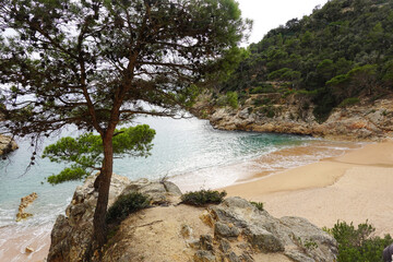 The view of Cala Pola beach in Tossa De Mar, Costa Brava, Spain                  