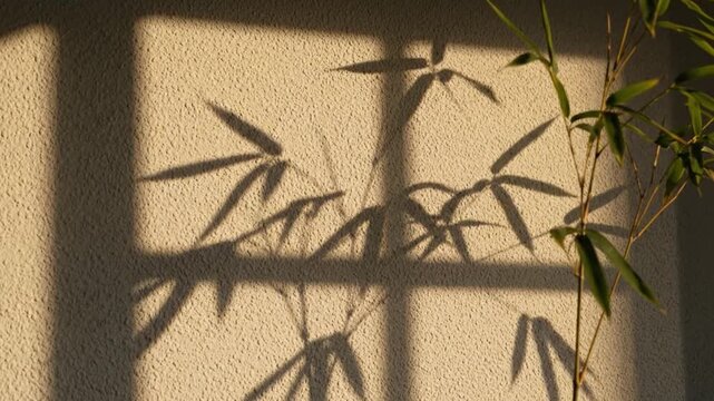 Graceful bamboo shadows dance on a sun-drenched textured wall, creating a peaceful natural abstract pattern and serene visual art
