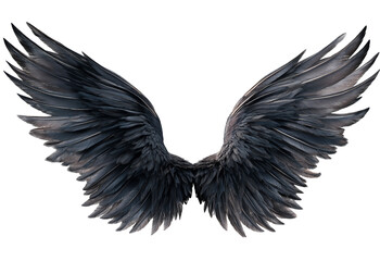 Fototapeta premium Detailed dark grey feathered wings spread symmetrically against a dark background isolated on a transparent background