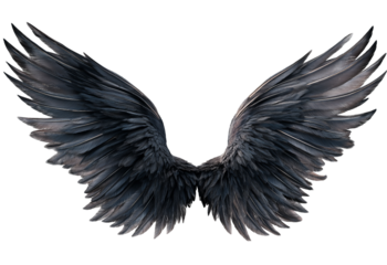 Detailed dark grey feathered wings spread symmetrically against a dark background isolated on a transparent background