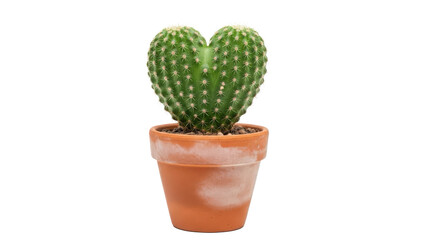 Fototapeta premium A charming heart-shaped cactus in a terracotta pot, symbolizing love and resilience isolated on transparent background