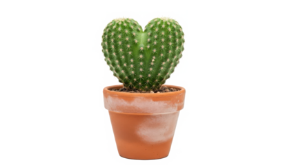 A charming heart-shaped cactus in a terracotta pot, symbolizing love and resilience isolated on transparent background