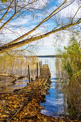 Steg und Baum am Plauer See in der Stadt Plau am See