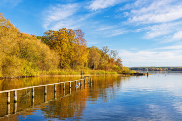 Steg und B&auml;ume am Plauer See in der Stadt Plau am See