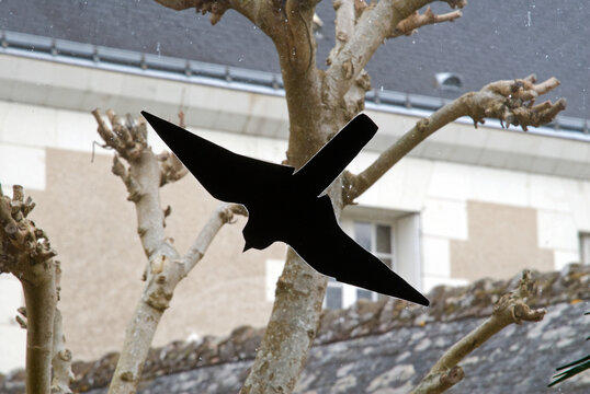 silhouette de faucon sur une vitre pour &eacute;loigner les oiseaux