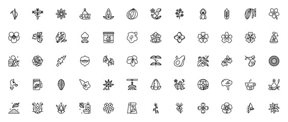 Botanicals icon set. Plant vector collection featuring Arum, Parsley, Asteraceae, Olive, Acanthaceae, Pepper, Herbal, Mustard, Pea, Wheat, Mint, Rose, Aloe, Sunflower, Avocado, Hemp, Flax and more.