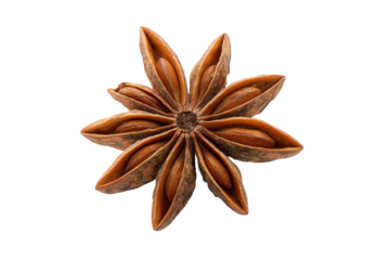 Single star anise spice pod with eight pointed segments and seeds against black background image