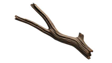 Brown deer antler isolated on transparent background