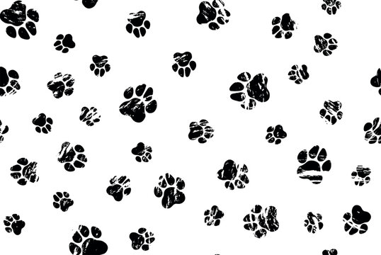 Pet paw pattern. Animal background with god cat paws. Pet steps seamless texture.