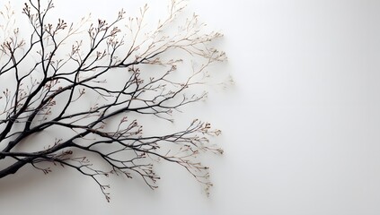 Striking Minimalist Composition featuring Dark Tree Branches with Tiny Leaves or Flowers against a Vast Bright Sky Background