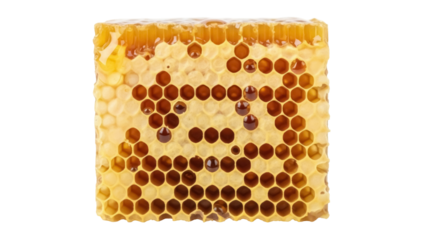 Honeycomb with honey isolated PNG, golden beeswax cells filled with sweet nectar on transparent background, natural food source for beekeeping