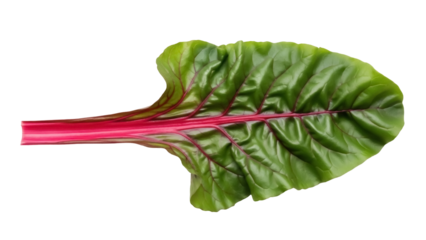 Vibrant red chard leaf isolated PNG, fresh Swiss chard with green leaves and red veins on transparent background, healthy eating concept