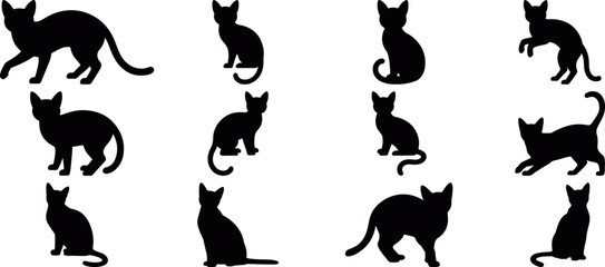 Cat silhouette icon set featuring different sitting, walking and jumping poses in flat vector style, ideal for pet shops, animal design, logos and infographics, cute cat animal silhouette icons 