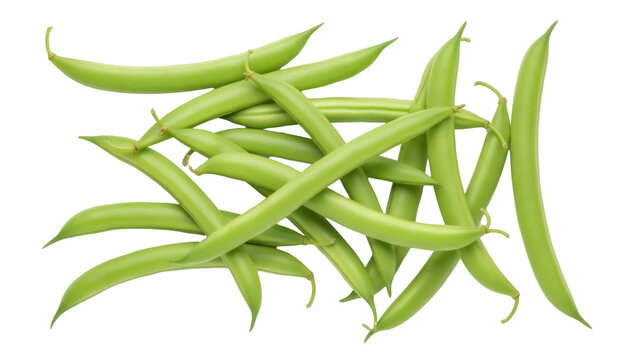 Fresh green beans isolated PNG on transparent background, raw string beans for healthy eating and vegetarian cooking