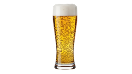 Refreshing pilsner beer in a tall glass isolated PNG, golden lager with bubbles on transparent background for summer refreshment