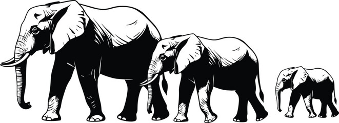 Elephant family illustration showing adult and baby elephants walking together wildlife strength nature black white vector art © Bappi Creatives