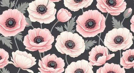 Delicate pink poppies on dark background