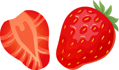 Fototapeta na wymiar Fresh whole and sliced strawberry fruit vector illustration
