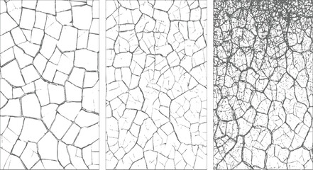 Close-up view of a dry cracked earth surface with irregular polygonal shapes and fine fissures creating a detailed natural texture in shades of gray and white