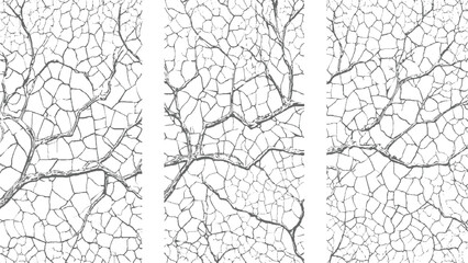 Organic branching network of fine lines and geometric cells resembling leaf veins or a natural fractal structure in a monochromatic gray and white © appl