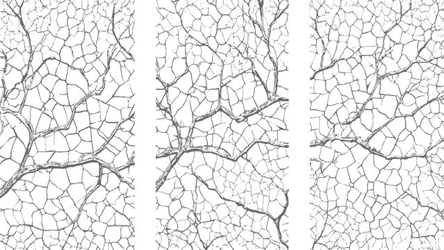 Organic branching network of fine lines and geometric cells resembling leaf veins or a natural fractal structure in a monochromatic gray and white