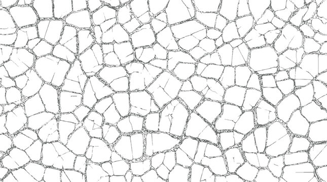 Intricate network of fine cracks forming a geometric pattern on a white background resembling a cracked earth surface or a cellular structure