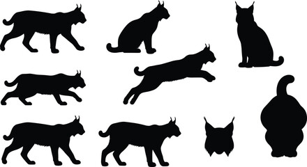Lynx silhouettes, walking, sitting, leaping, rear view, animal motion, nature illustration, gray background, feline anatomy, wildlife behavior study