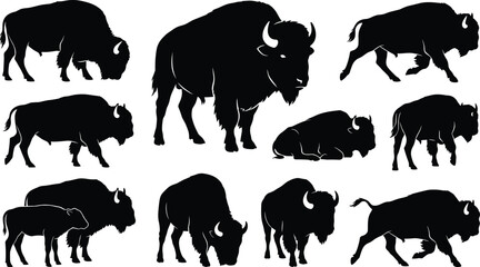 American bison silhouettes, wildlife poses, grazing, running, standing, lying down, nature illustration, animal shapes, gray background, herd movement © Mahamudul