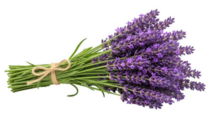 Naklejka premium A lavender flower bunch, isolated on white or transparent background, high resolution, studio lighting, sharp focus, clean cutout, soft purple tones, minimal shadow, PNG format