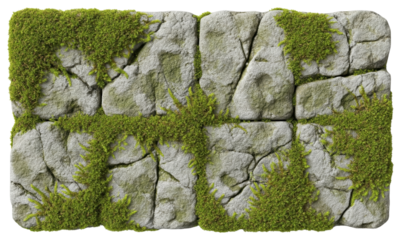 Grey stone wall texture with green moss growing in cracks of rocks on a transparent background