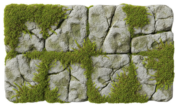Grey stone wall texture with green moss growing in cracks of rocks on a transparent background - Powered by Adobe