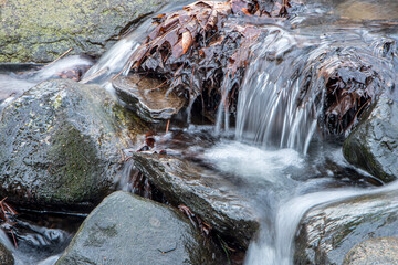 close up of water flowing  in a small brook