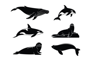Marine Mammal Silhouette Set with Whale Orca and Seal Icons © Md