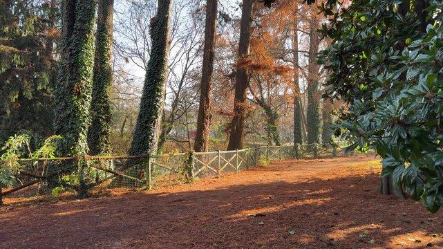 Indro Montanelli Public Gardens in Milan, historic urban park with trees and pathways